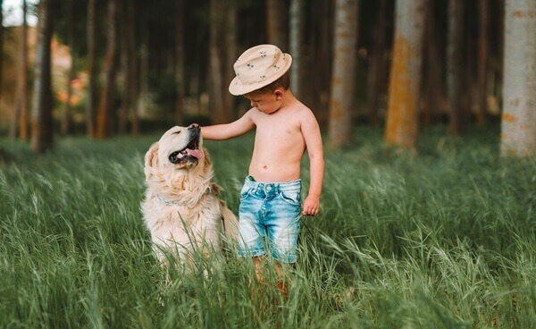 A heartwarming moment between a young child and a loyal golden retriever, captured in a lush green forest. A true symbol of the unbreakable bond between pets and their humans.