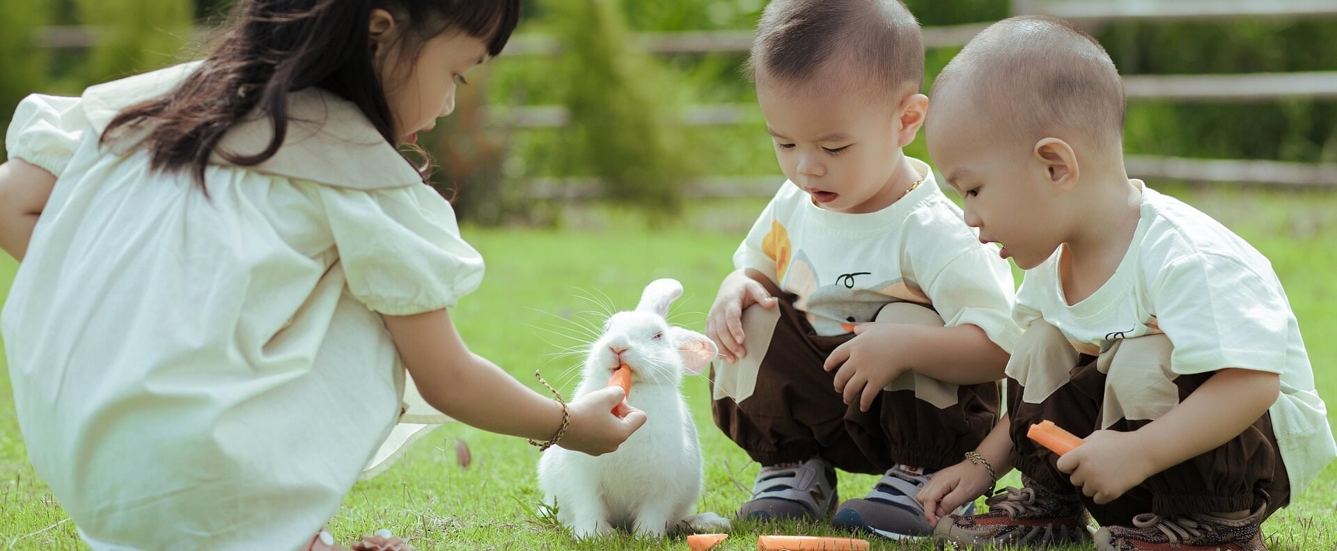 Three young children feeding a fluffy white rabbit with fresh carrots on a grassy field.